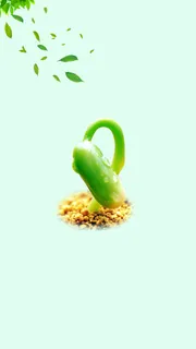 春天万物复苏种子发芽H5清新背景分层下载高清 春天万物复苏种子发芽H5清新背景分层下载高清