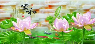 荷花池塘背景高清