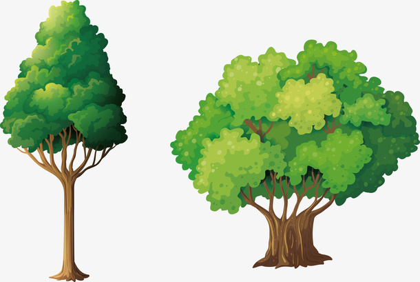 青色的松树枝免抠