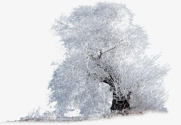 创业合成造型雪花树林免抠