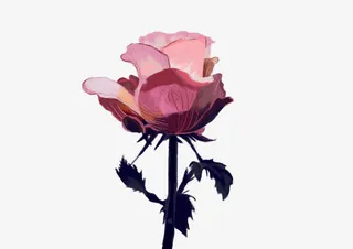 手绘浪漫玫瑰花免抠