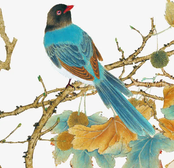 手绘工笔花鸟画免抠