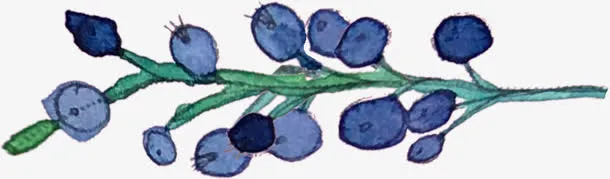 水墨蓝莓免抠