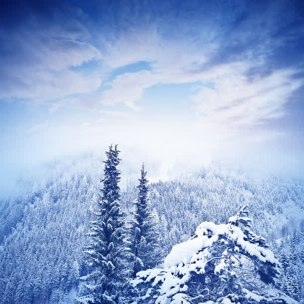 秋天森林雪景免抠