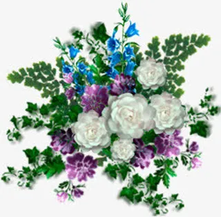 唯美花草图片花草标签免抠