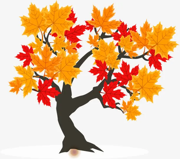 手绘枫树免抠