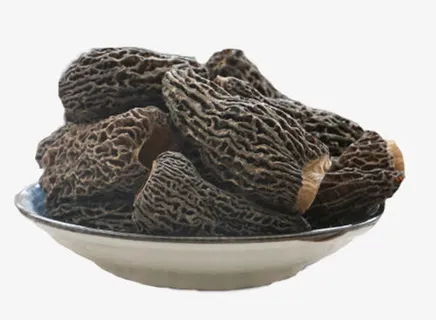 一碗优质羊肚菌免抠