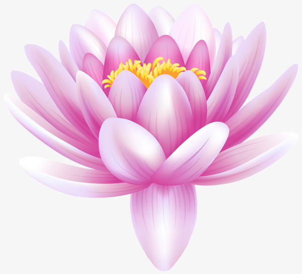 春天盛开的花免抠