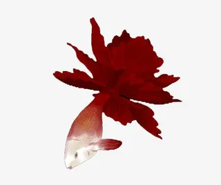 砖红盛开花朵免抠