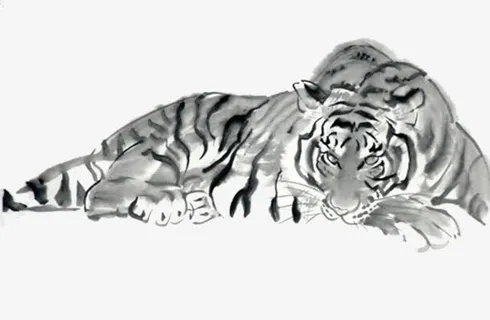 安静的老虎免抠