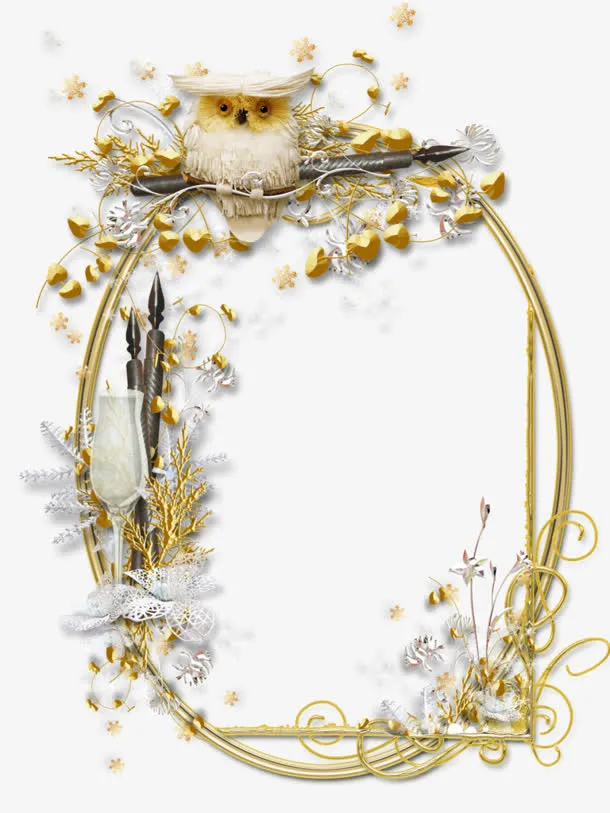 花样猫头鹰相框免抠