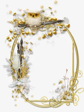 花样猫头鹰相框免抠