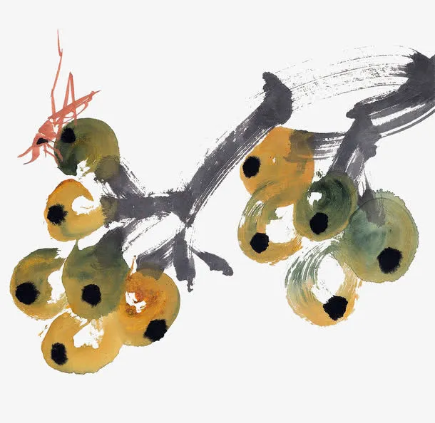 水墨枇杷免抠