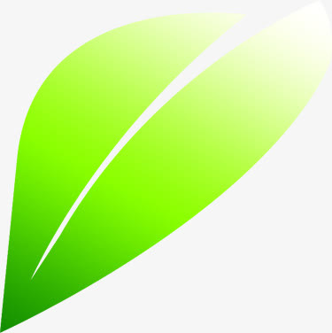 绿色卡通春季树叶免抠