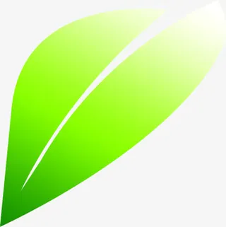 绿色卡通春季树叶免抠