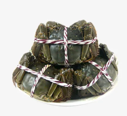 鲜活大闸蟹免抠
