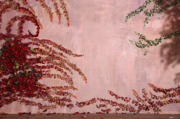 绿色红色完美结合免抠