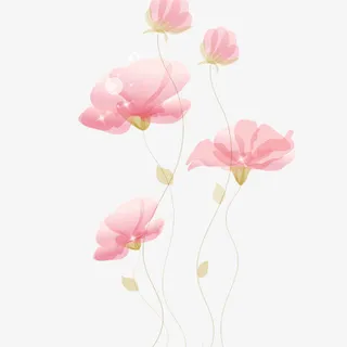 鲜艳的花朵免抠