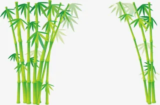 竹子矢量图免抠