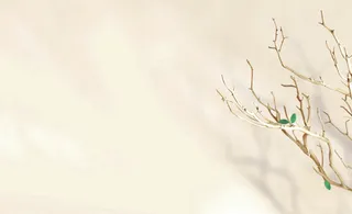 黄色 树叶  渐变 背景