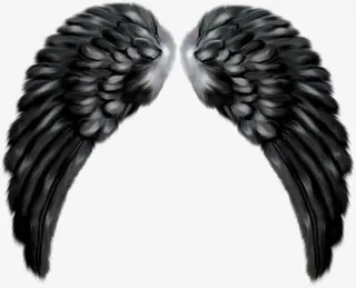 堕落天使的翅膀免抠