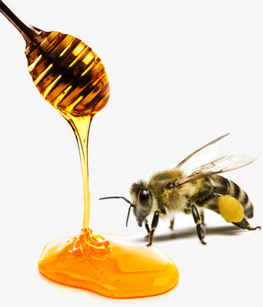 蜂蜜免抠