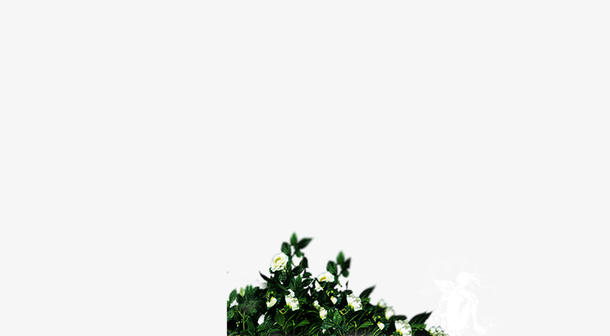 树枝免抠