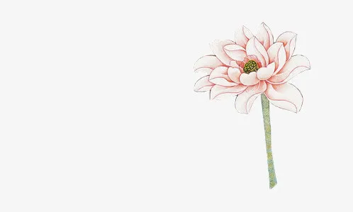 一朵小花 红色花瓣  绿色花枝png素材免抠