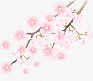 春暖花开桃花朵朵开免抠