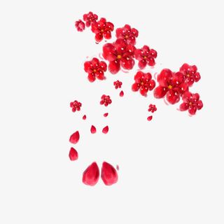 飘落的花瓣免抠