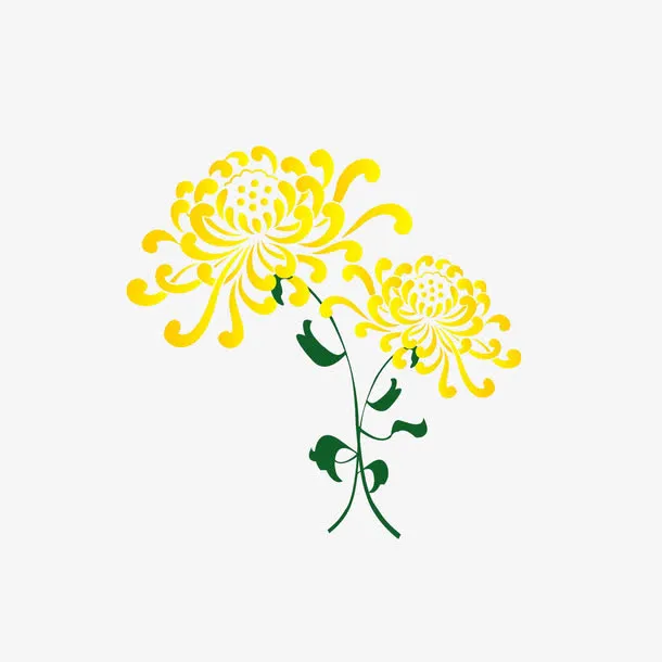手绘菊花免抠