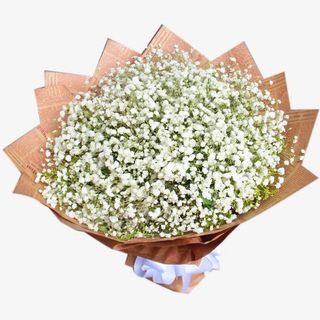 报纸中的满天星免抠