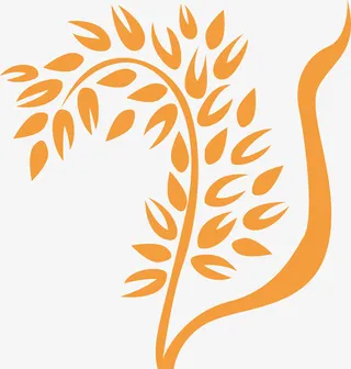 金色麦子矢量图免抠