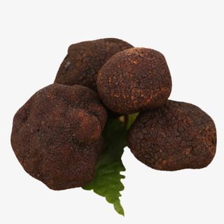 新鲜黑松露菌免抠