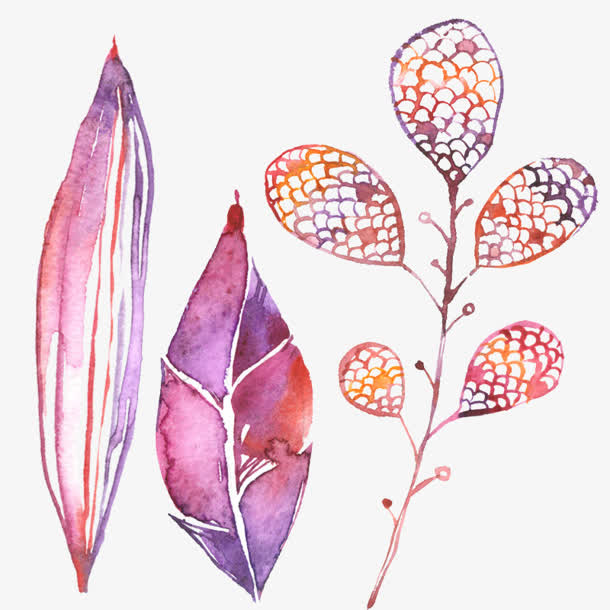 水彩花瓣绿叶免抠