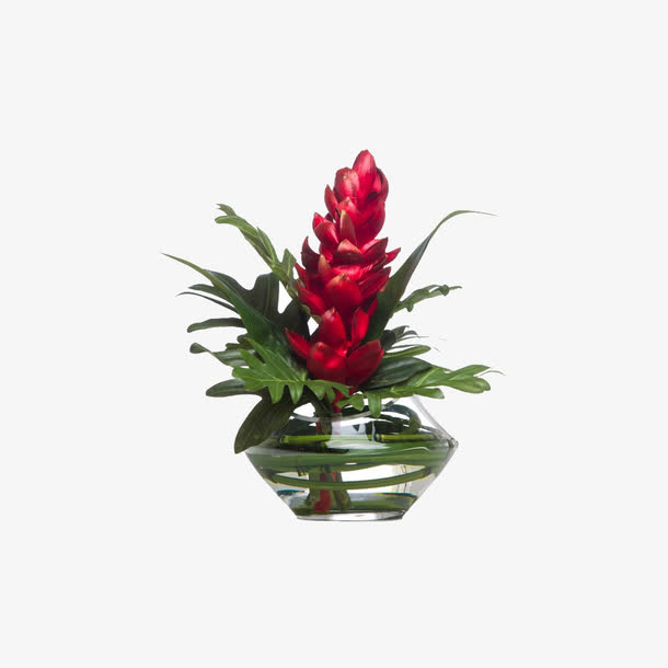欧美流行插花 绿植物 鲜花软装免抠