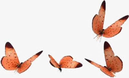 黄粉色春天蝴蝶装饰免抠装饰动物元素