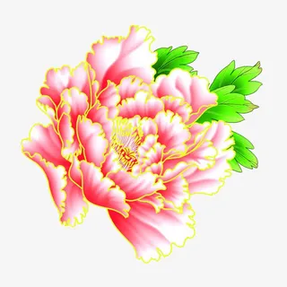 一朵粉色的金边牡丹免抠