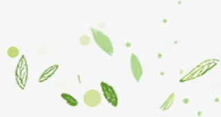 清新春天漂浮树叶免抠