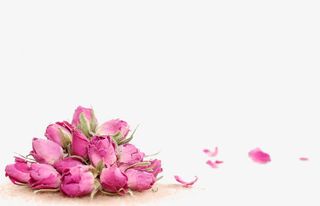 粉色花苞免抠