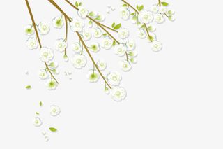 卡通古风手绘梨树枝丫枝头背景装