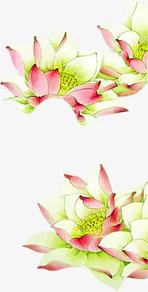 水彩荷花美景端午免抠