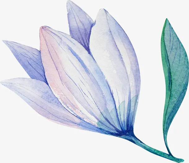 手绘卡通装饰花瓣花草装饰海报设免抠