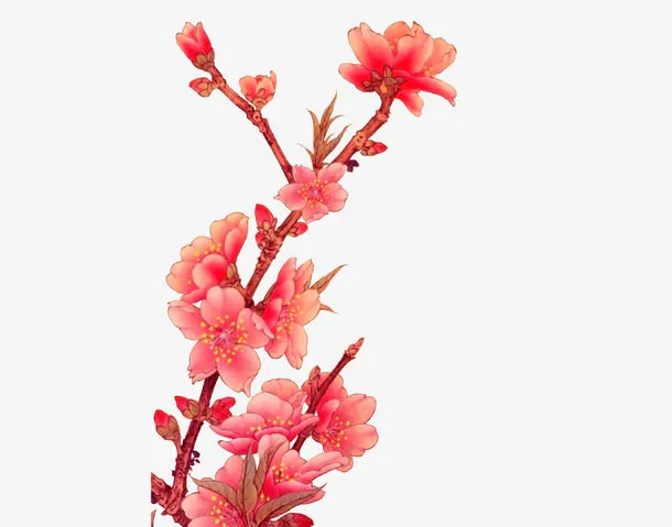 桃花免抠