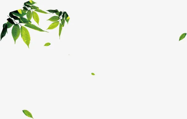 绿色春天树叶美景卡通免抠