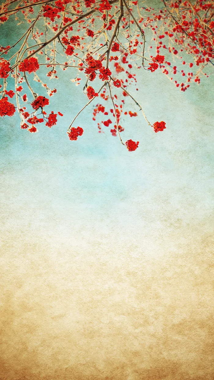 中国风纸质花朵浪漫背景素材高清