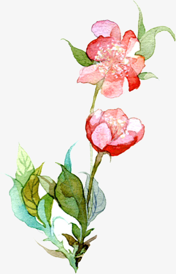 春天，卡通，花，手绘免抠