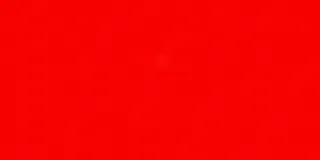 红色花朵暗纹背景高清