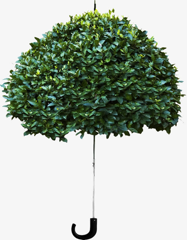 绿色植物伞免抠