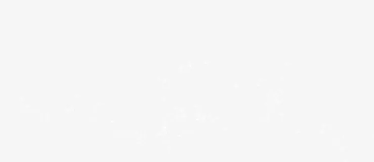 白色简约星星免抠